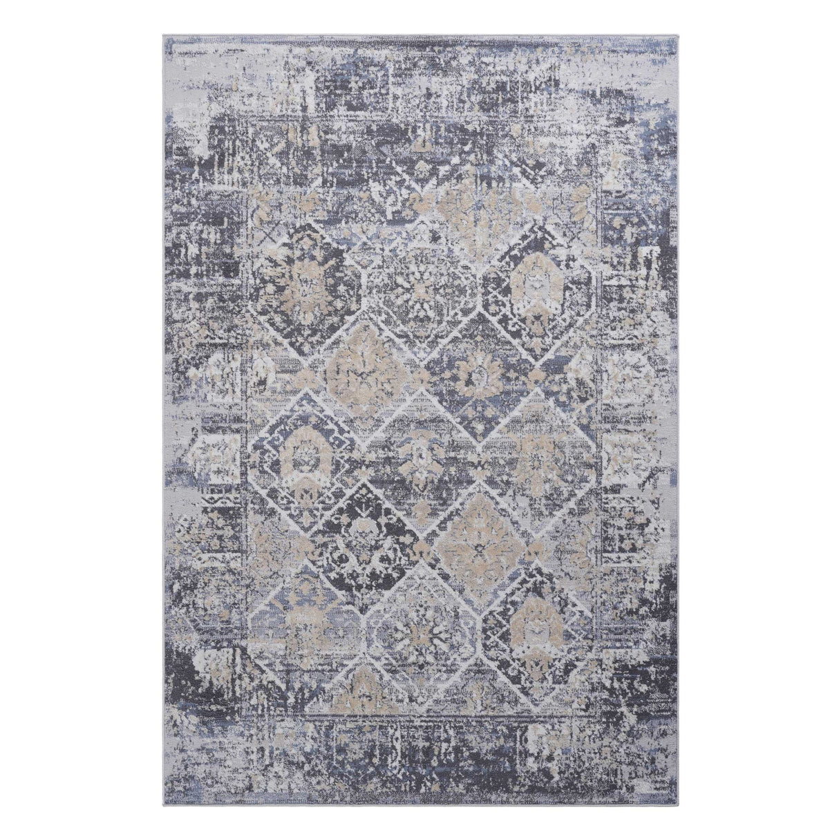 Payas - 6' X 9' Traditional Area Rug - Gray / Blue