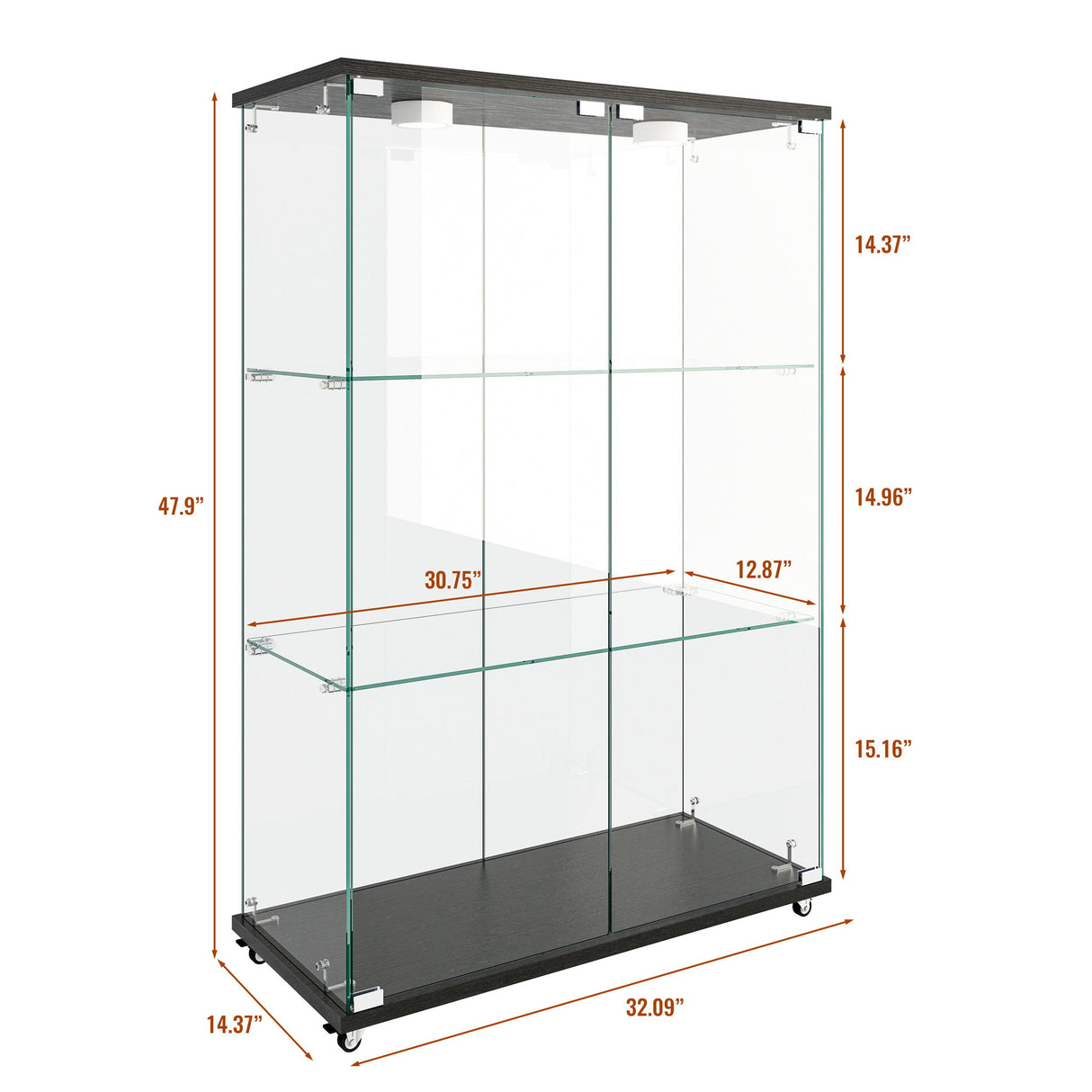 Modern Display Cabinet With LED Lights, Transparent Tempered Glass 2 Door Storage Case With 3 Shelves