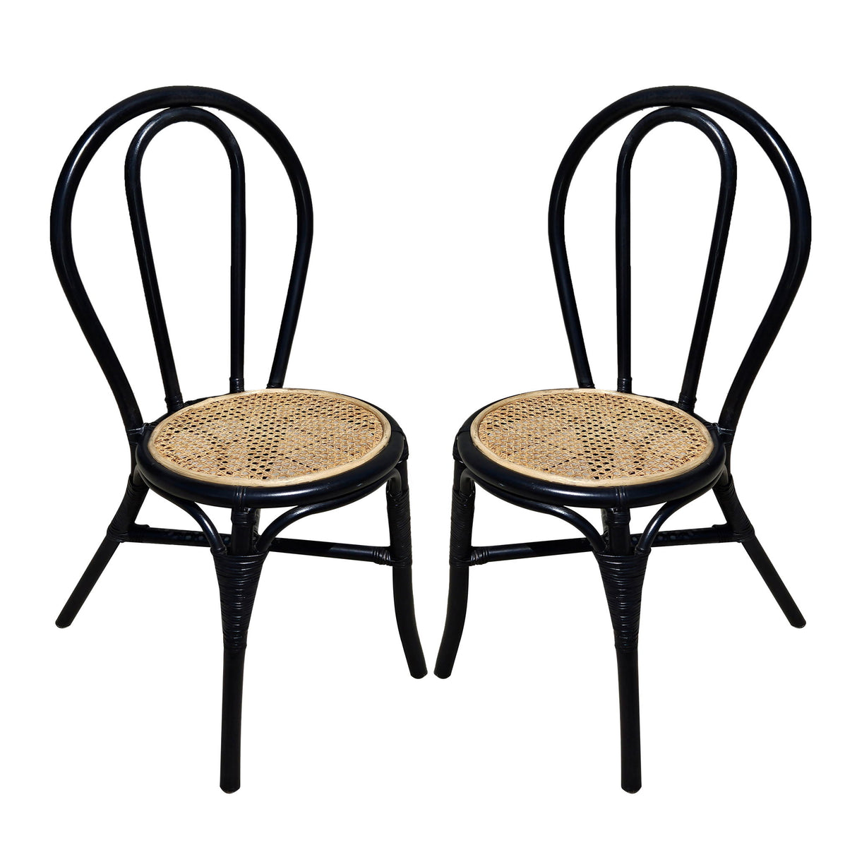 Rattan Dining Chair (Set of 2) - Black Multi