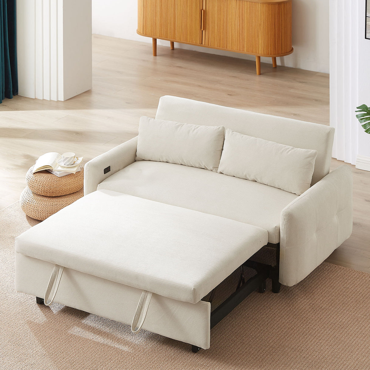Pull-Out 2 Seat Modern Sleeper Sofa With 2 Throw Pillows And USB Ports