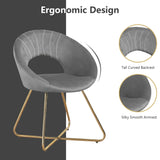 Modern Accent Velvet Chair (Set of 2)