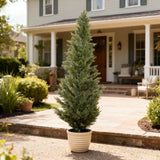 Realistic Artificial Cypress Tree, UV Resistant Indoor / Outdoor Topiary Plant For Decoration - Green Leaves