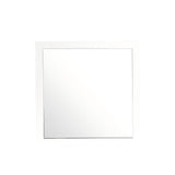 Modern Design Transitional Wall Mirror
