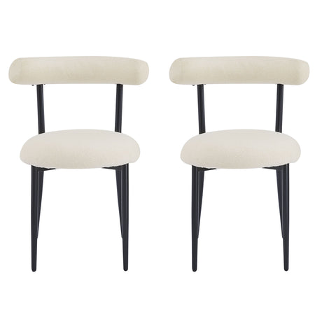 Modern Dining Room Chairs (Set of 2)