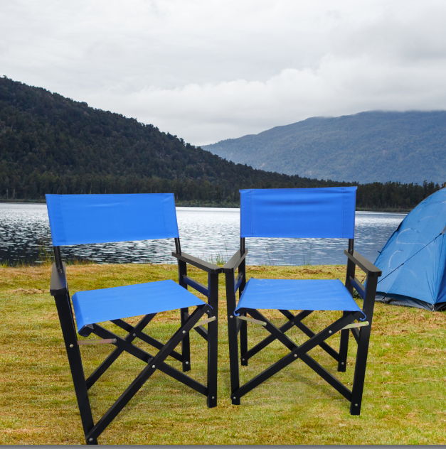 Folding Director Chair