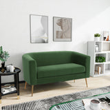 Modern Elegant Design Style Loveseat