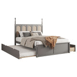 Platform Bed With With 2 Big Drawers With Trundle