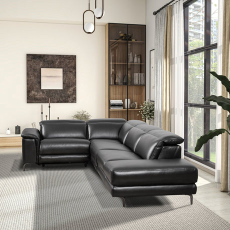 Zander - Reclining Sectional Sofa - Black