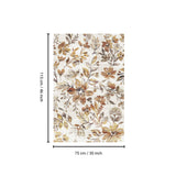 Fenix - Accent Rug