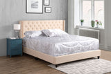 Nailhead Bed Transitional Vibrant