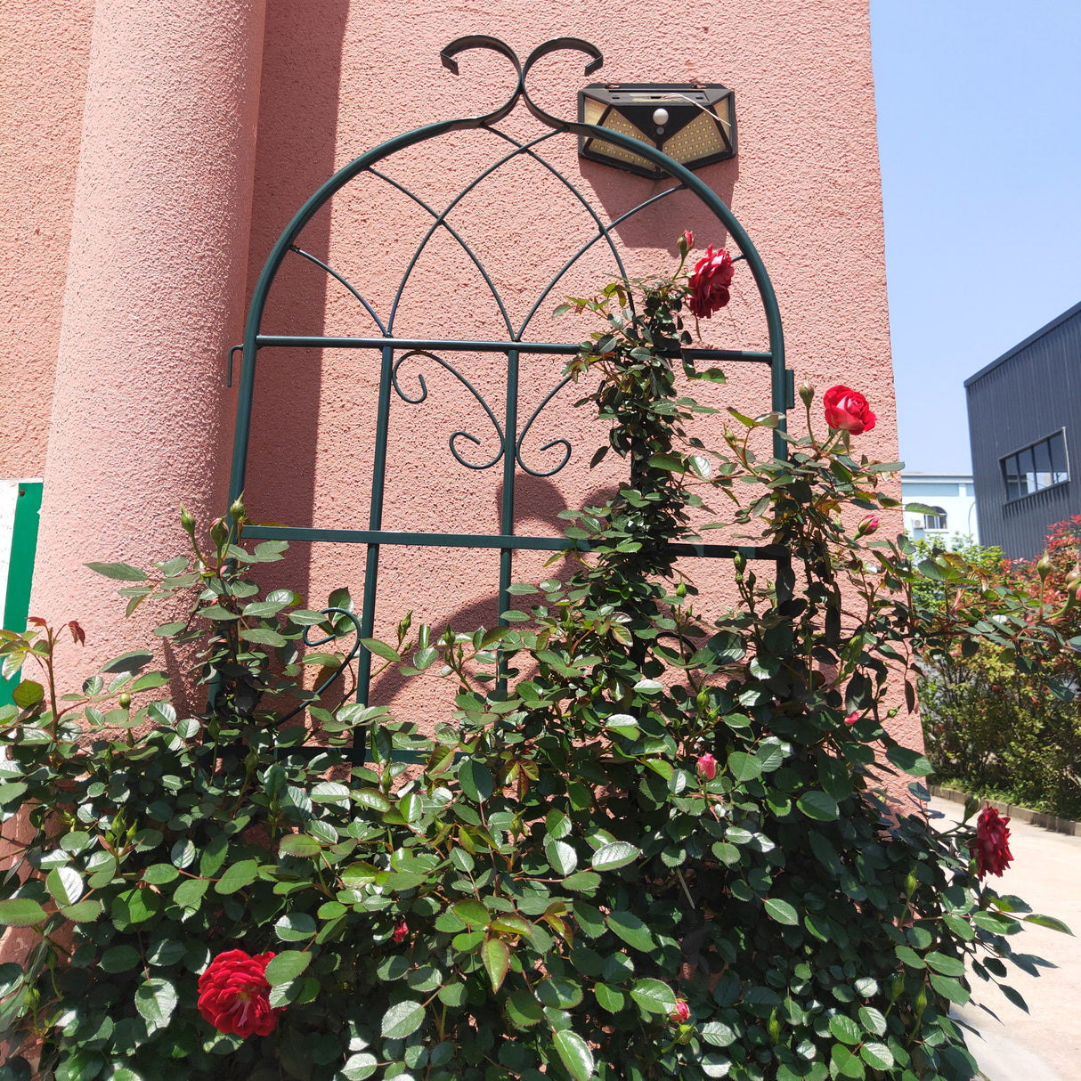 Metal Garden Rustproof Trellis For Climbing Plants Outdoor Flower Support