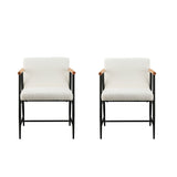 Modern Dining Chair With Iron Frame (Set of 2)