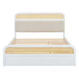 Platform Bed With Trundle And 2 Drawers