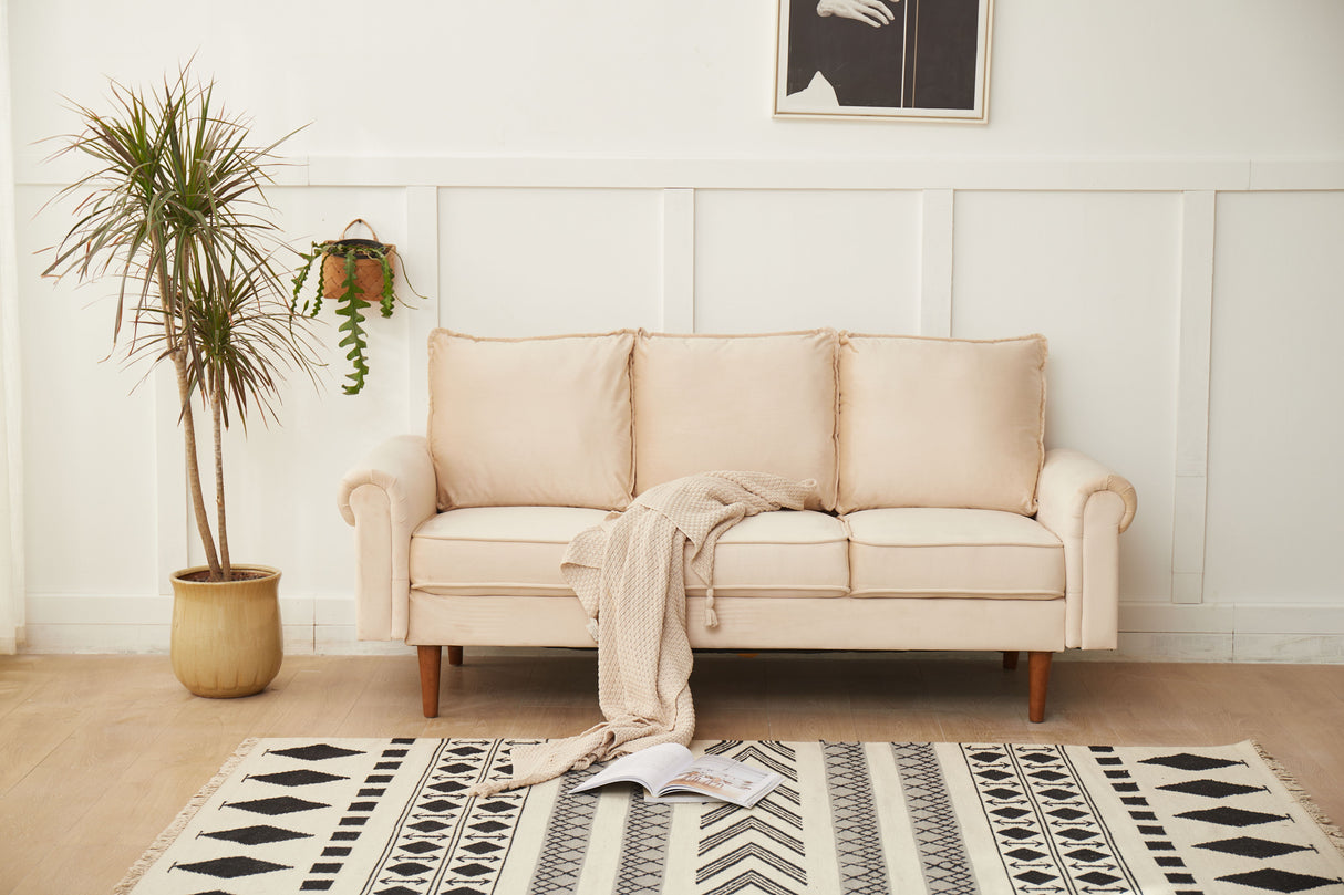 Graceful Design Plush Comfort Sofa