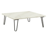 Telestis - Marble Top Coffee Table - Black / White Marble