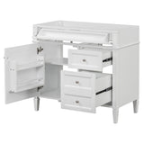 Bathroom Vanity Without Top Sink, Modern Bathroom Storage Cabinet With 2 Drawers And A Tip-Out Drawer