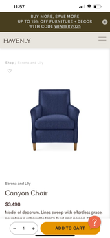 Canyon Chair by Serena and Lily