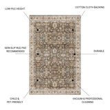 Fenix - Accent Rug - Brown / Ivory