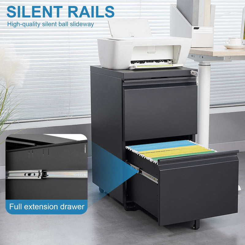 Office Storage Cabinet With 2 Drawers And Lock