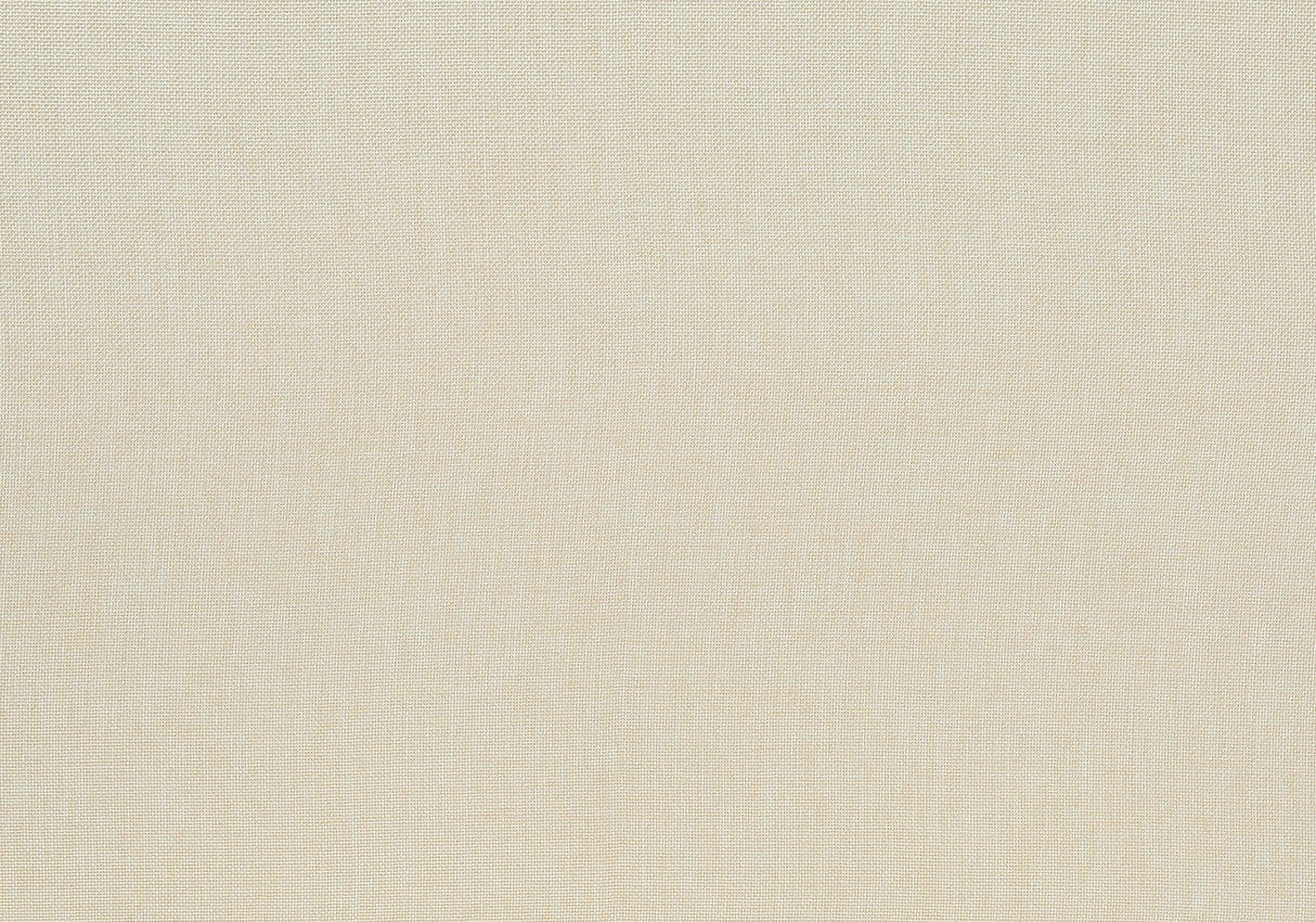 Dining Chair, Upholstered, Dining Room, Transitional (Set of 2) - Cream