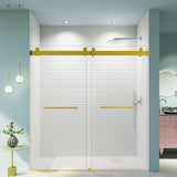 Frameless Double Sliding Soft Close Shower Door, Tempered Glass