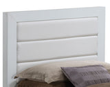Transitional Modern Design Bed