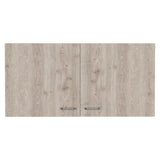 Wall Cabinet Two Doors, Two Internal Shelves - White / Light Gray