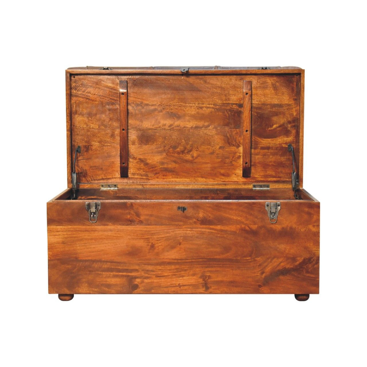 Buffalo - Leather Storage Trunk