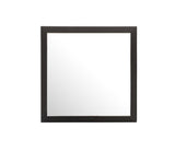 Modern Design Transitional Wall Mirror