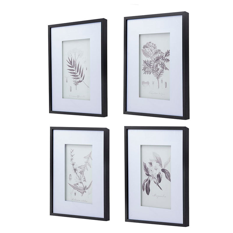 Botanical Wall Art Prints, Home Decor For Living Room Dining Room, Bedroom, Hallway (Set of 4) - White / Black