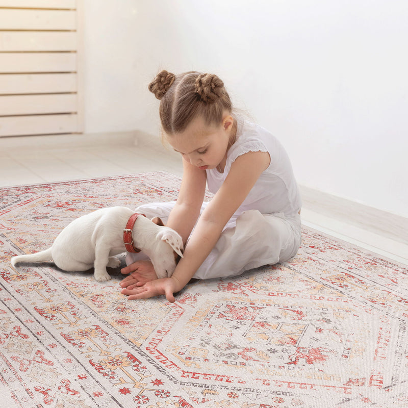 Maval - Trendy Area Rug, Washable