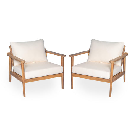Modern Outdoor Lounge Chair With Cushions