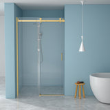 Modern Single Slide Shower Door, Tempered Glass, Stainless Steel Frame