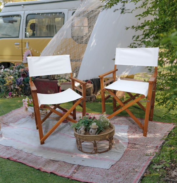 Folding Director Chair