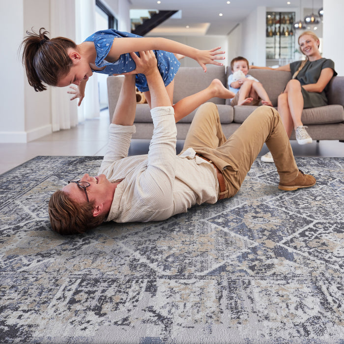 8X10 Grey/Blue /Traditional Non-Shedding Living Room Bedroom Dining Home Office Stylish and Stain Resistant Area Rug