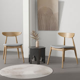 Ergonomic Back Dining Chairs (Set of 2)