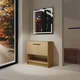 Modern Freestanding Bathroom Vanity With 2 Doors